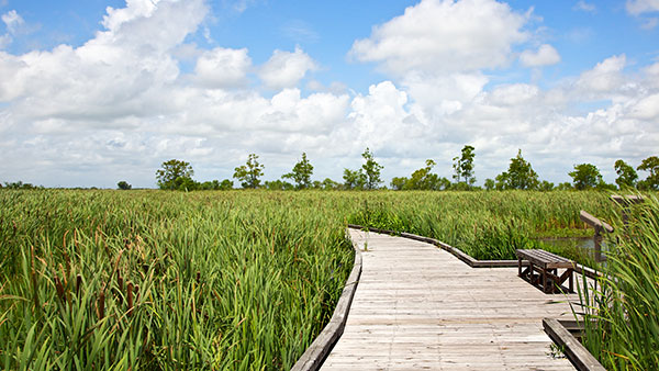 Creole Nature Trail All-American Road