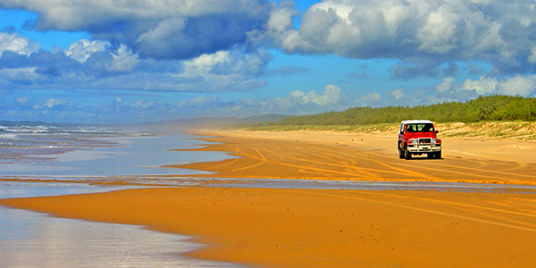 Fraser Island, île de sable, la plus grande au monde.