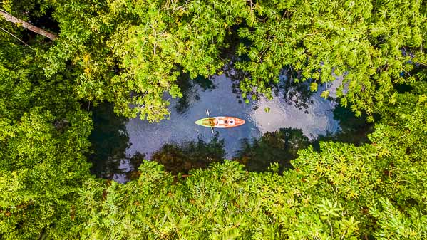 couple kayak in jungle of Krabi Thailand, men and woman kayak in tropical jungle mangrove forest.