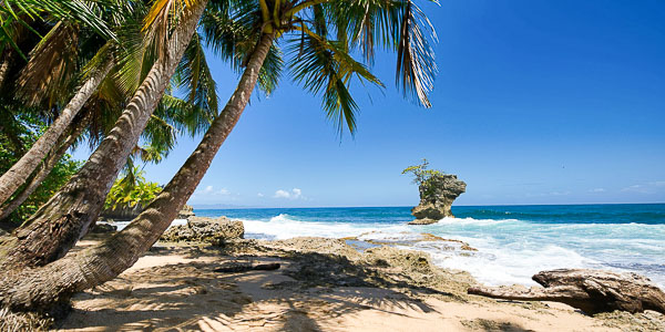 You are currently viewing Laure / Voyage entre amis au Costa Rica / Janvier 2026