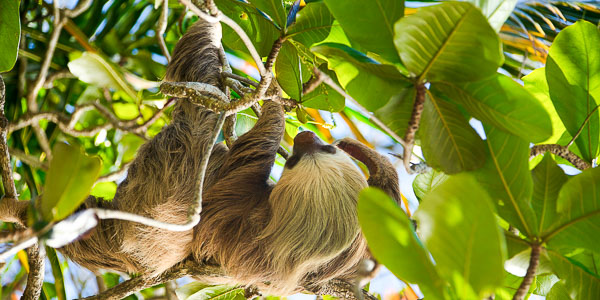 You are currently viewing Éric et Françoise / Voyage sur mesure au Costa Rica / Février 2026