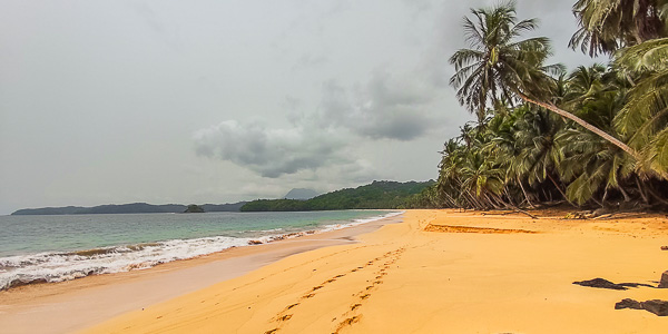 You are currently viewing Marc / Voyage à São Tomé-et-Principe / Février 2026