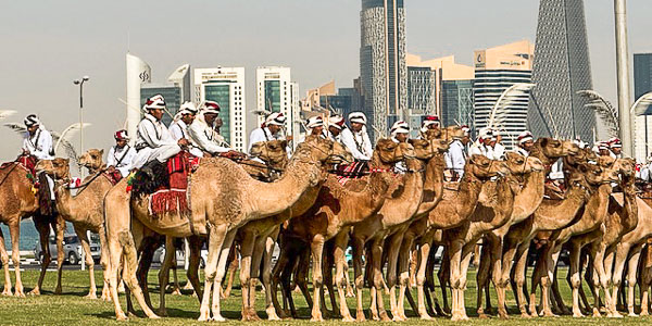 You are currently viewing Pascale et Michel / Voyage en famille aux Emirats / Janvier 2026