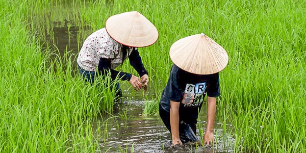 You are currently viewing Françoise / Voyage en famille au Vietnam / Avril 2026