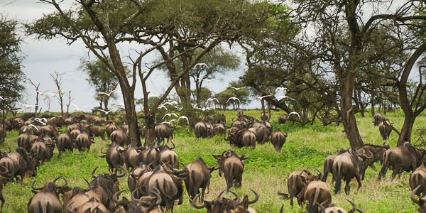 You are currently viewing Maxime et Céline / Voyage en Tanzanie/ Avril 2026